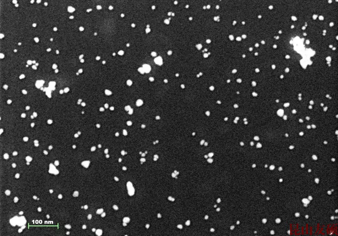 潮州潮州蔡司潮州扫描电镜